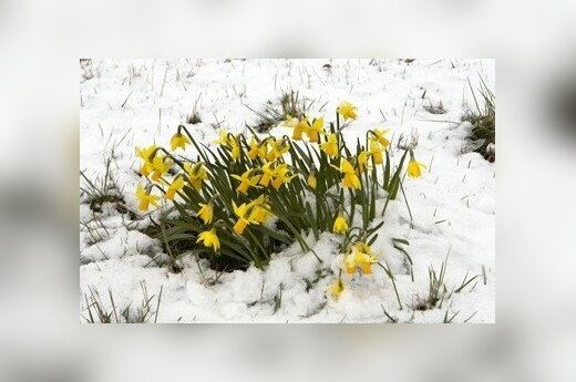Zima powoli ustępuje
