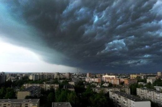 Nawałnica w centrum Wilna. Drzewo spadło na samochód (jest nagranie)