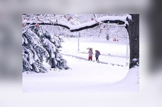 В ближайшие дни в Литве установится зимняя погода