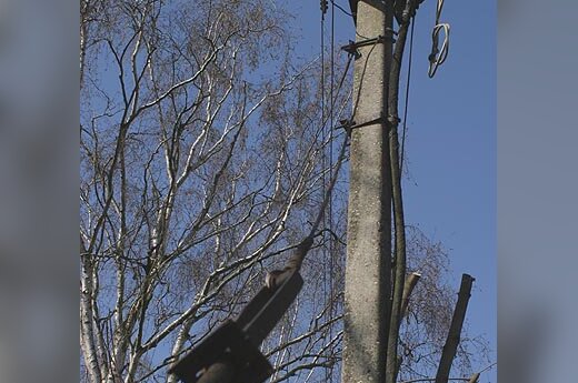 Elektra, energetika