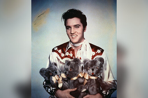 Meškiukai ir Elvis