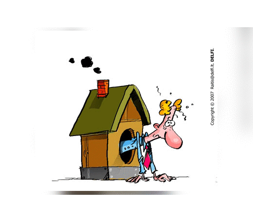 Būstas, butas, namas, karikatūra