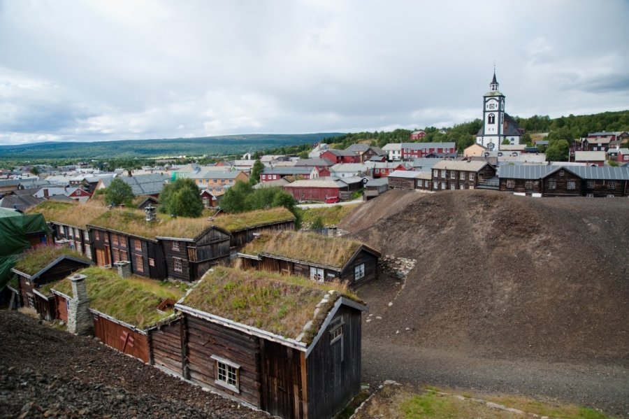 Цветы и прочее, что приносит эстетическое наслаждение. - Страница 2 Rerusas-norvegija-67119454